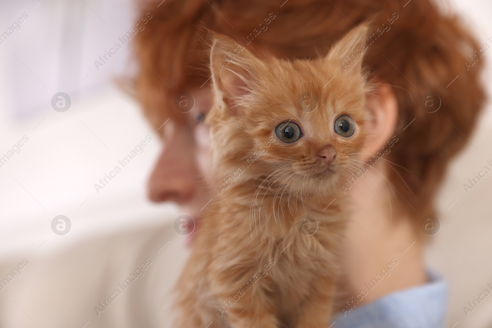 Photo of Redhead teenage boy with cute ginger kitten indoors, selective focus