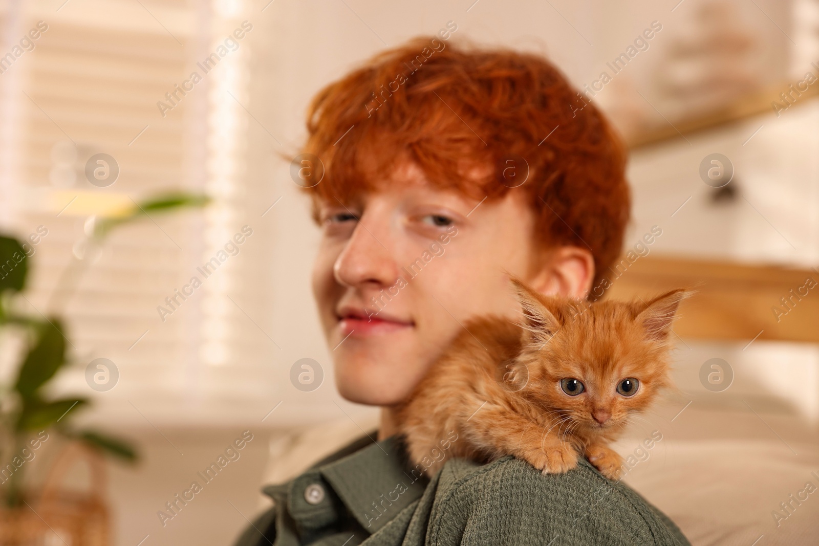 Photo of Redhead teenage boy with cute ginger kitten indoors, selective focus