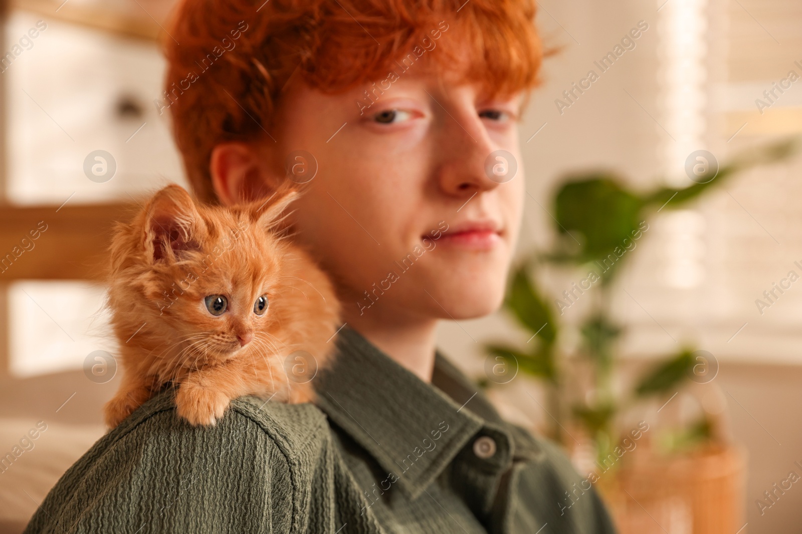 Photo of Redhead teenage boy with cute ginger kitten indoors, selective focus