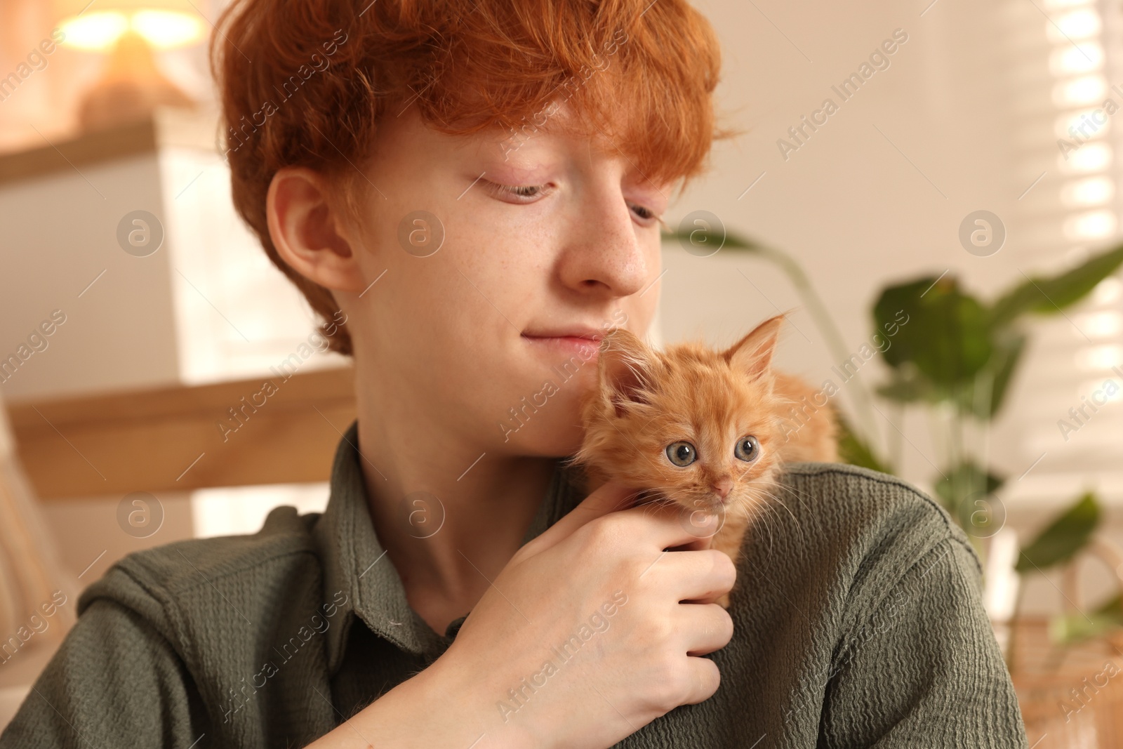 Photo of Redhead teenage boy with cute ginger kitten indoors