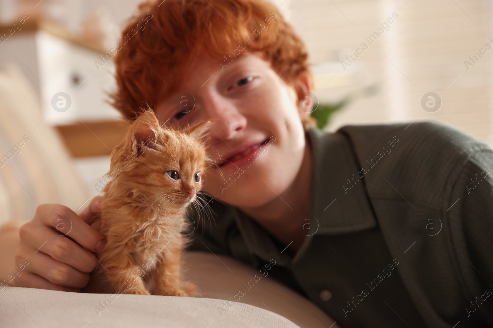 Photo of Redhead teenage boy with cute ginger kitten on sofa indoors, selective focus