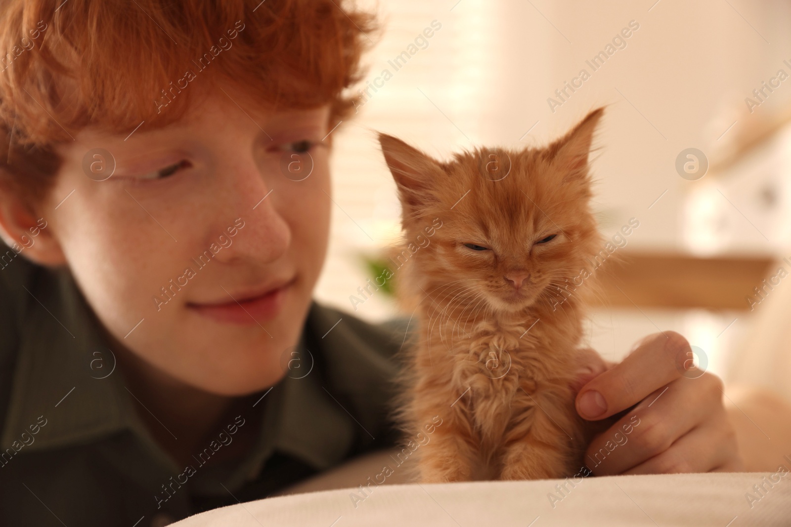 Photo of Redhead teenage boy with cute ginger kitten on sofa indoors, selective focus