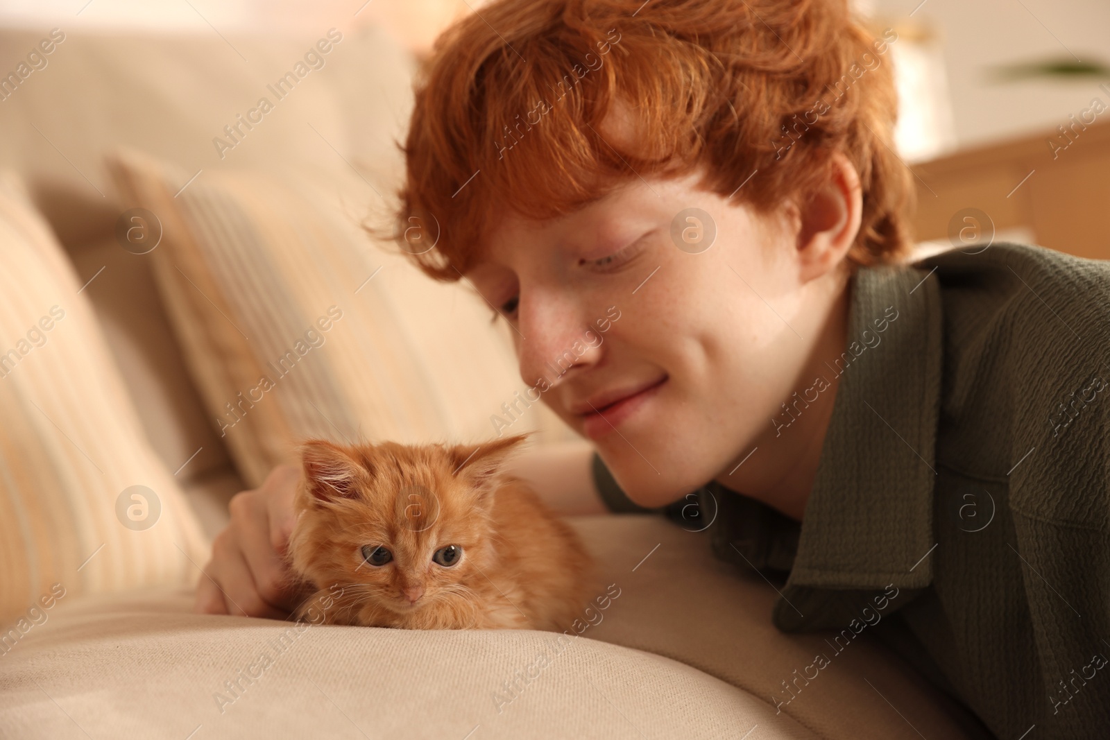 Photo of Redhead teenage boy with cute ginger kitten on sofa indoors