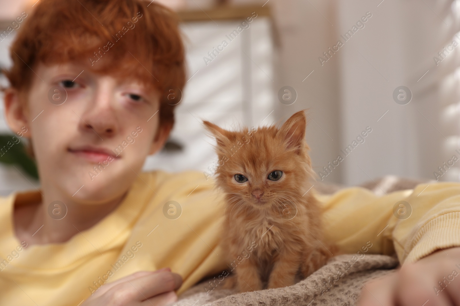 Photo of Redhead teenage boy with cute ginger kitten indoors, selective focus