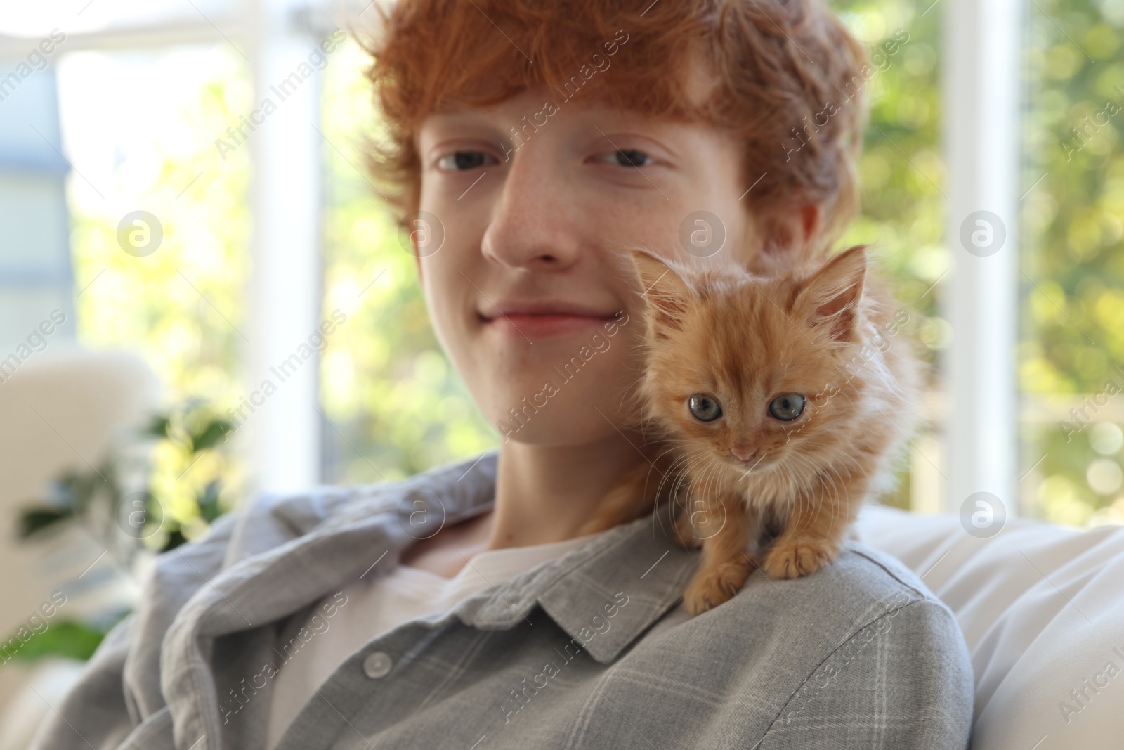 Photo of Redhead teenage boy with cute ginger kitten indoors