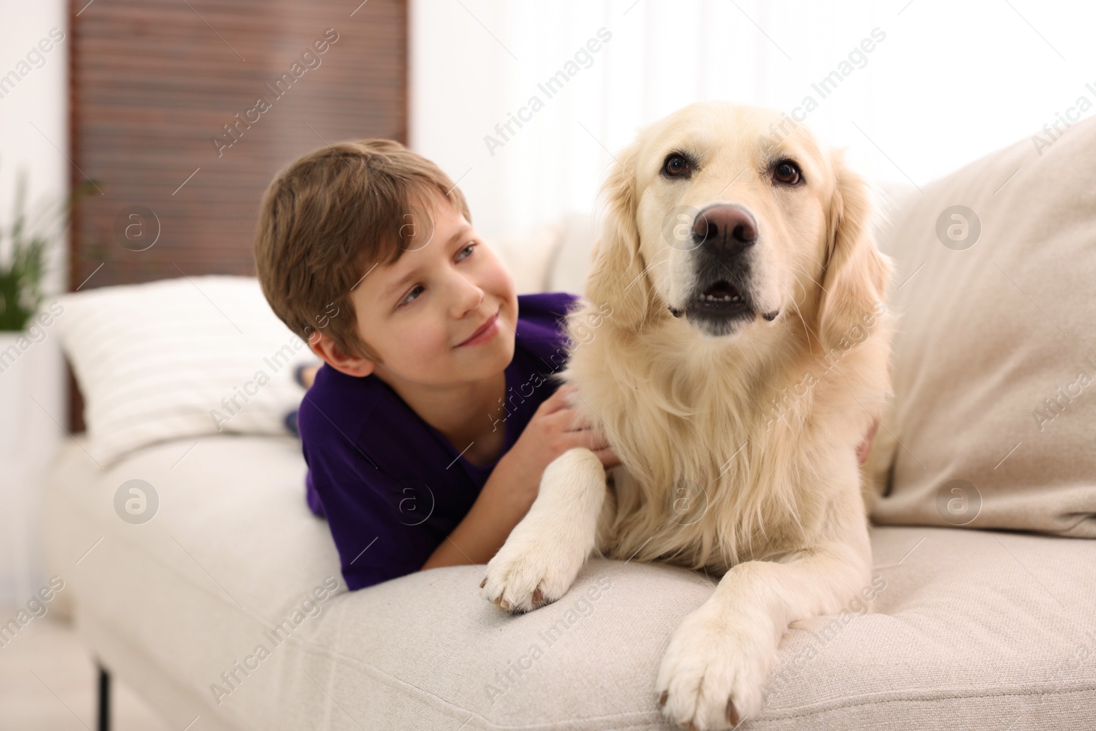 Photo of Boy with his cute dog on sofa at home