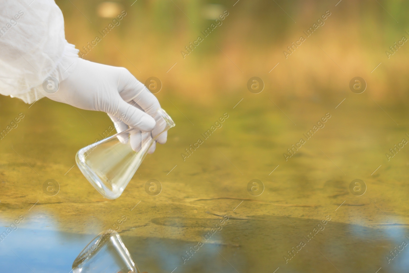 Photo of Examination of water quality. Researcher taking water sample from lake outdoors, closeup. Space for text