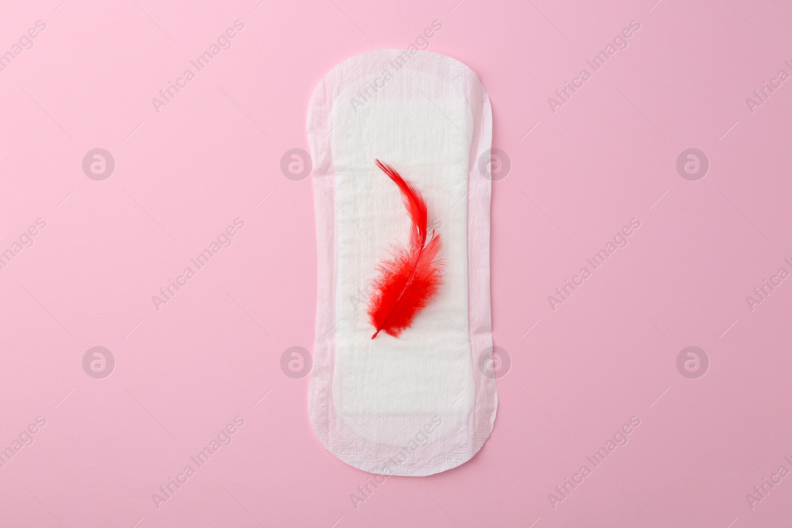 Photo of Menstrual pad with red feather on pink background, top view