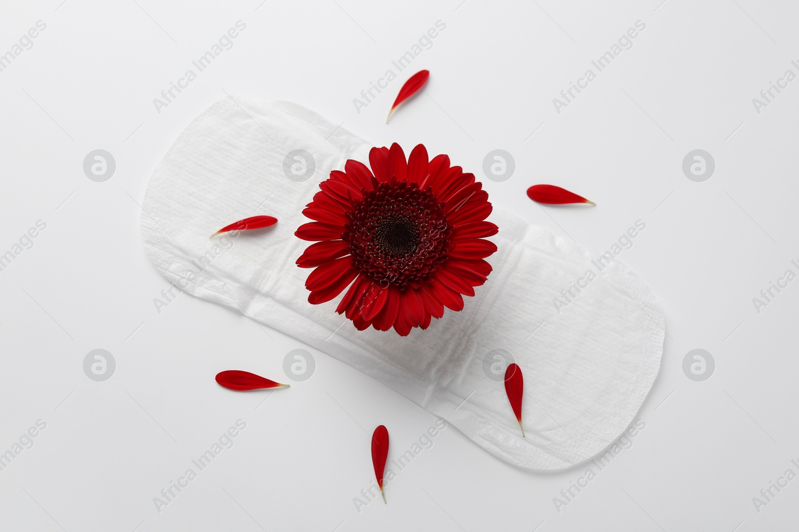 Photo of Menstrual pad with red flower on white background