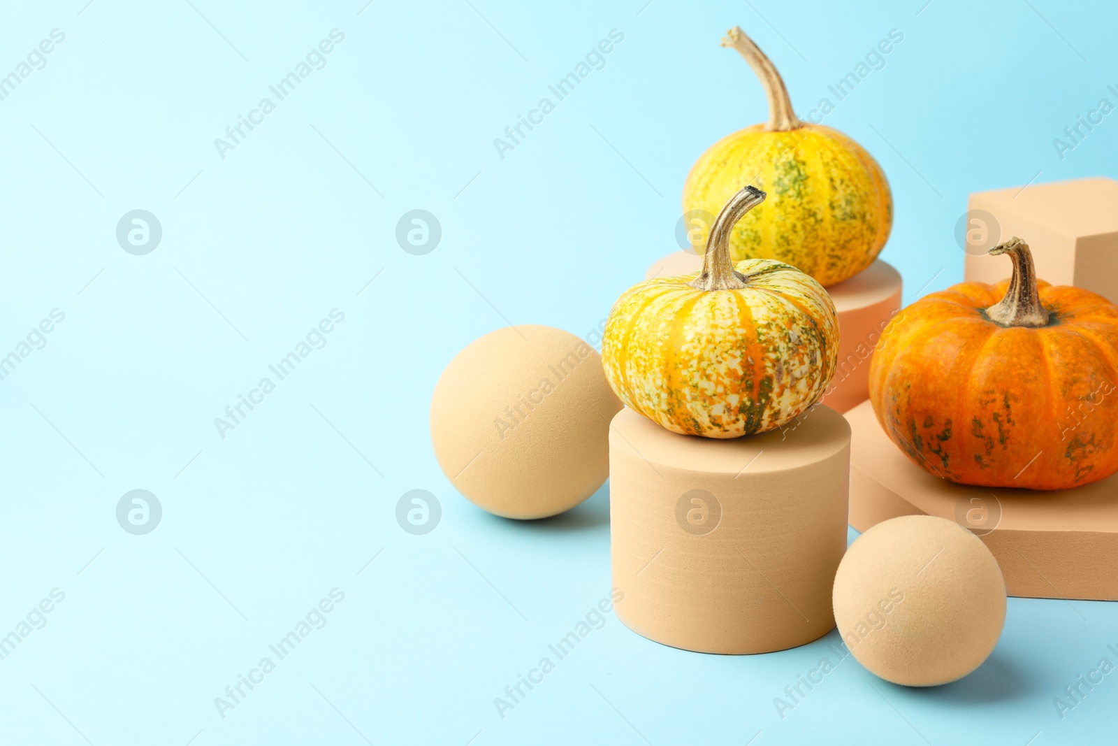 Photo of Fresh pumpkins on podiums against light blue background, space for text