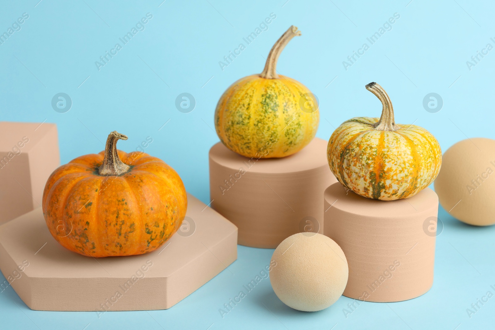 Photo of Fresh pumpkins on podiums against light blue background