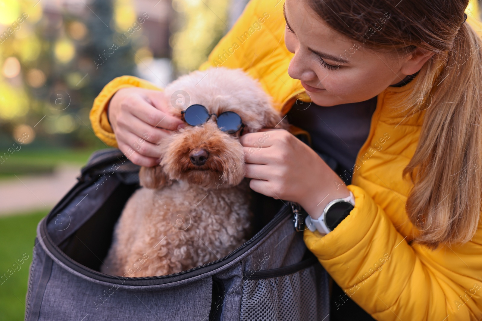 Photo of Woman with cute Toy Poodle dog in sunglasses outdoors