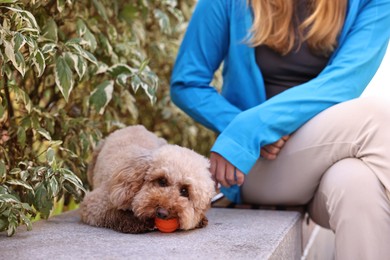 Photo of Woman and cute Toy Poodle dog with ball outdoors, closeup