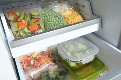 Photo of Plastic bags and glass containers with different frozen vegetables in refrigerator