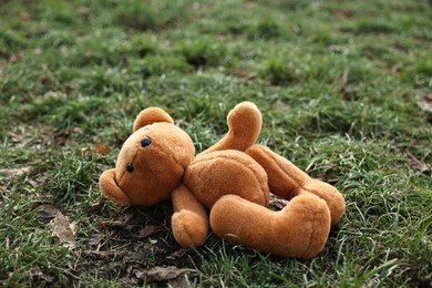 Lost brown teddy bear on green grass, closeup