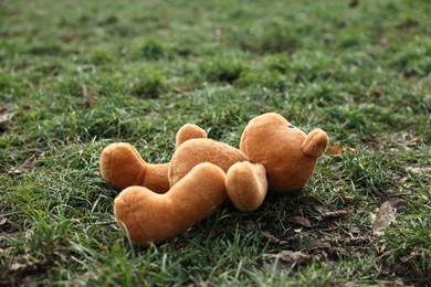 Photo of Lost brown teddy bear on green grass