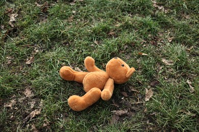 Photo of Lost brown teddy bear on green grass, above view