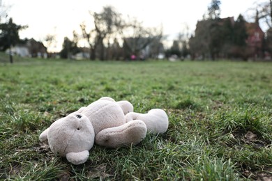 Photo of Lost white teddy bear on green grass in park. Space for text