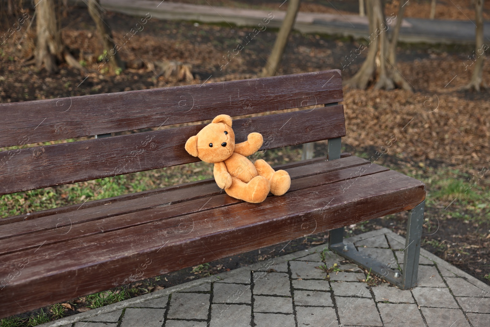 Photo of Lost brown teddy bear on wooden bench in park