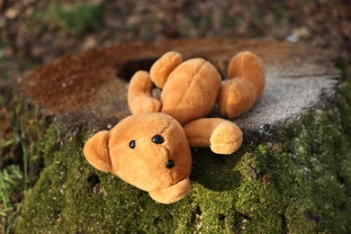 Photo of Lost brown teddy bear on tree stump outdoors, closeup