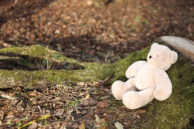 Photo of Lost white teddy bear near tree stump outdoors. Space for text