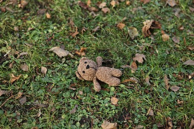 Photo of Lost knitted bear on green grass, above view