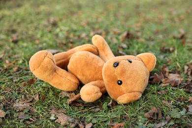 Photo of Lost brown teddy bear on green grass, closeup