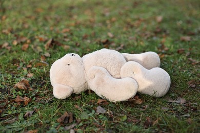 Photo of Lost white teddy bear on green grass, closeup