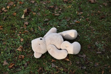 Photo of Lost white teddy bear on green grass outdoors