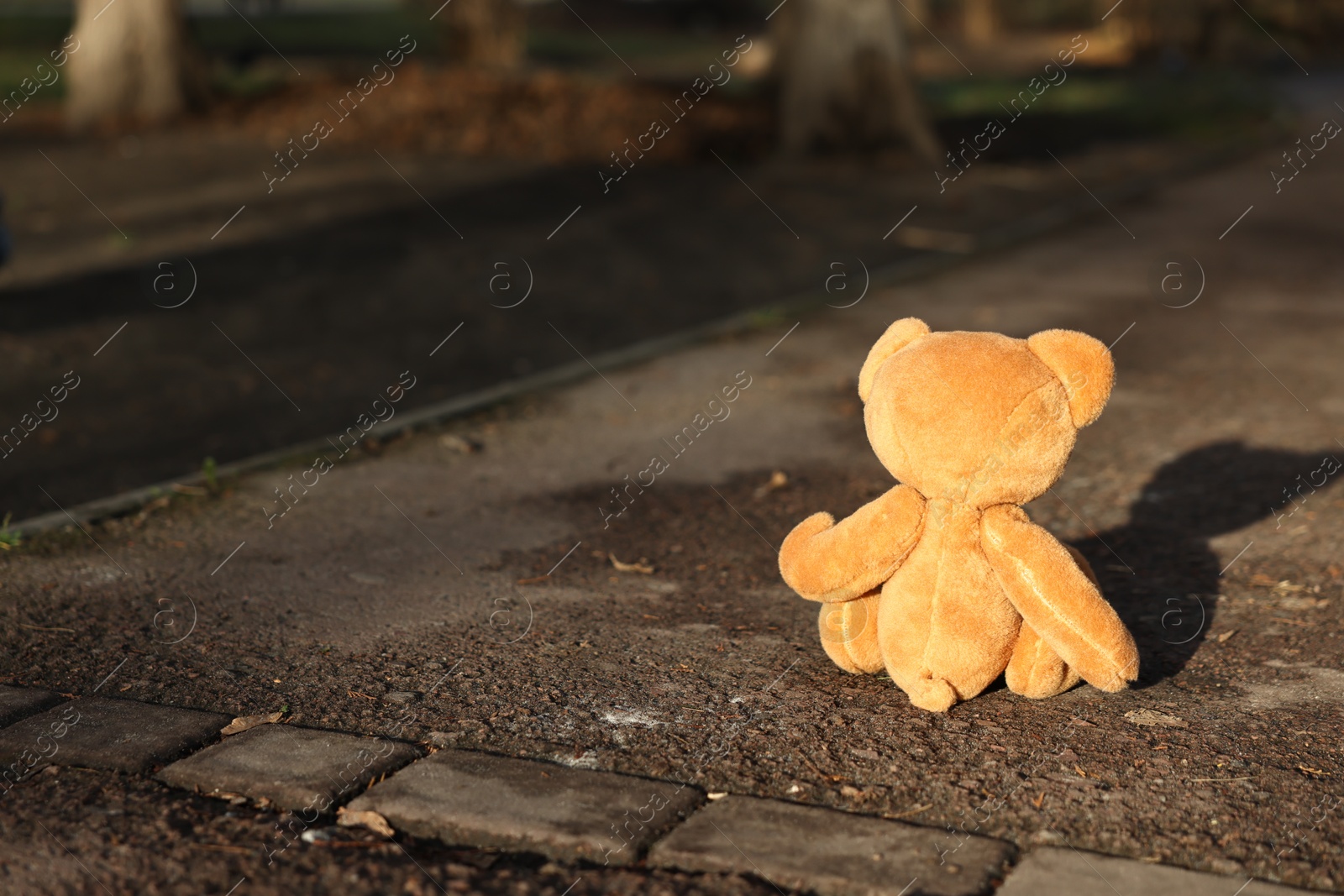 Photo of Lost brown teddy bear on ground outdoors, back view. Space for text