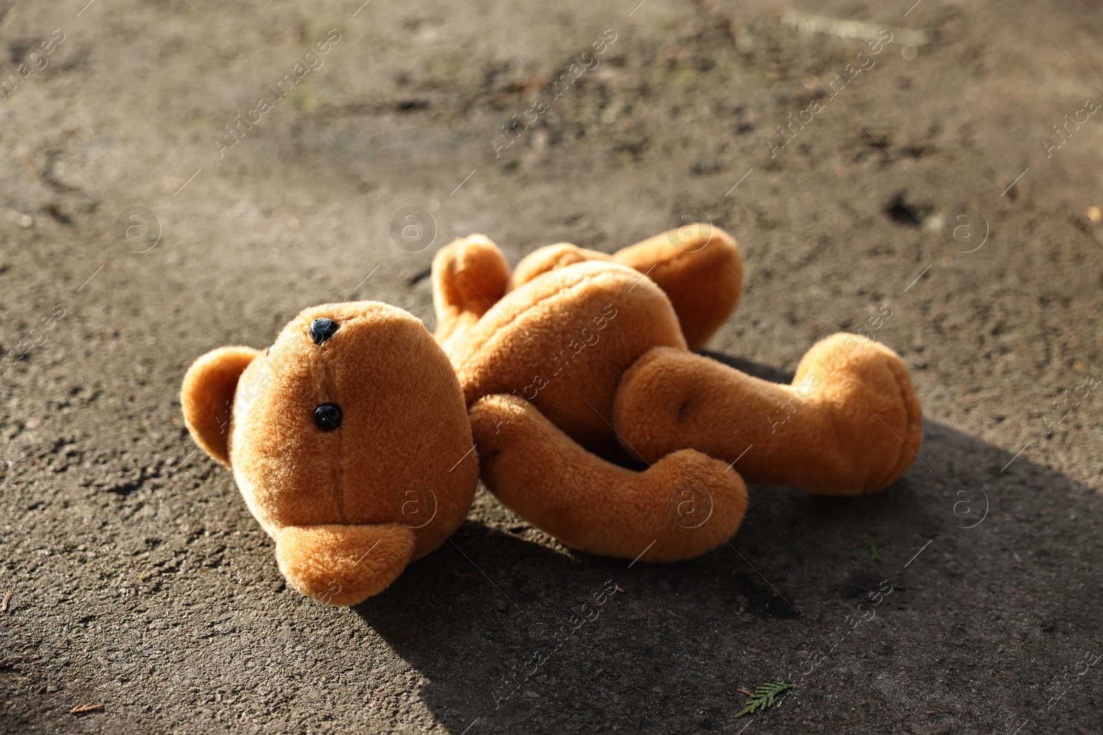 Photo of Lost brown teddy bear on ground outdoors, closeup