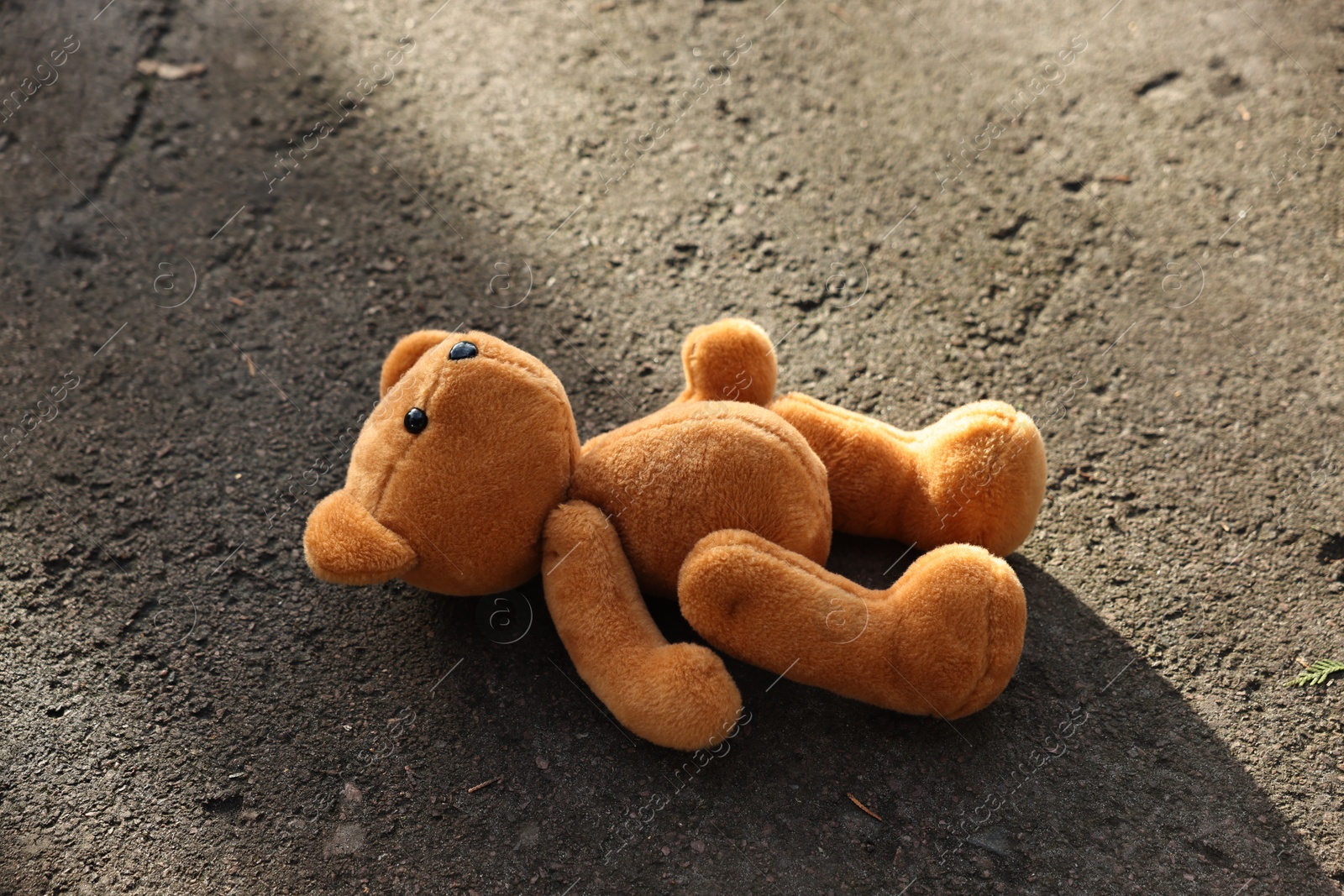 Photo of Lost brown teddy bear on ground outdoors