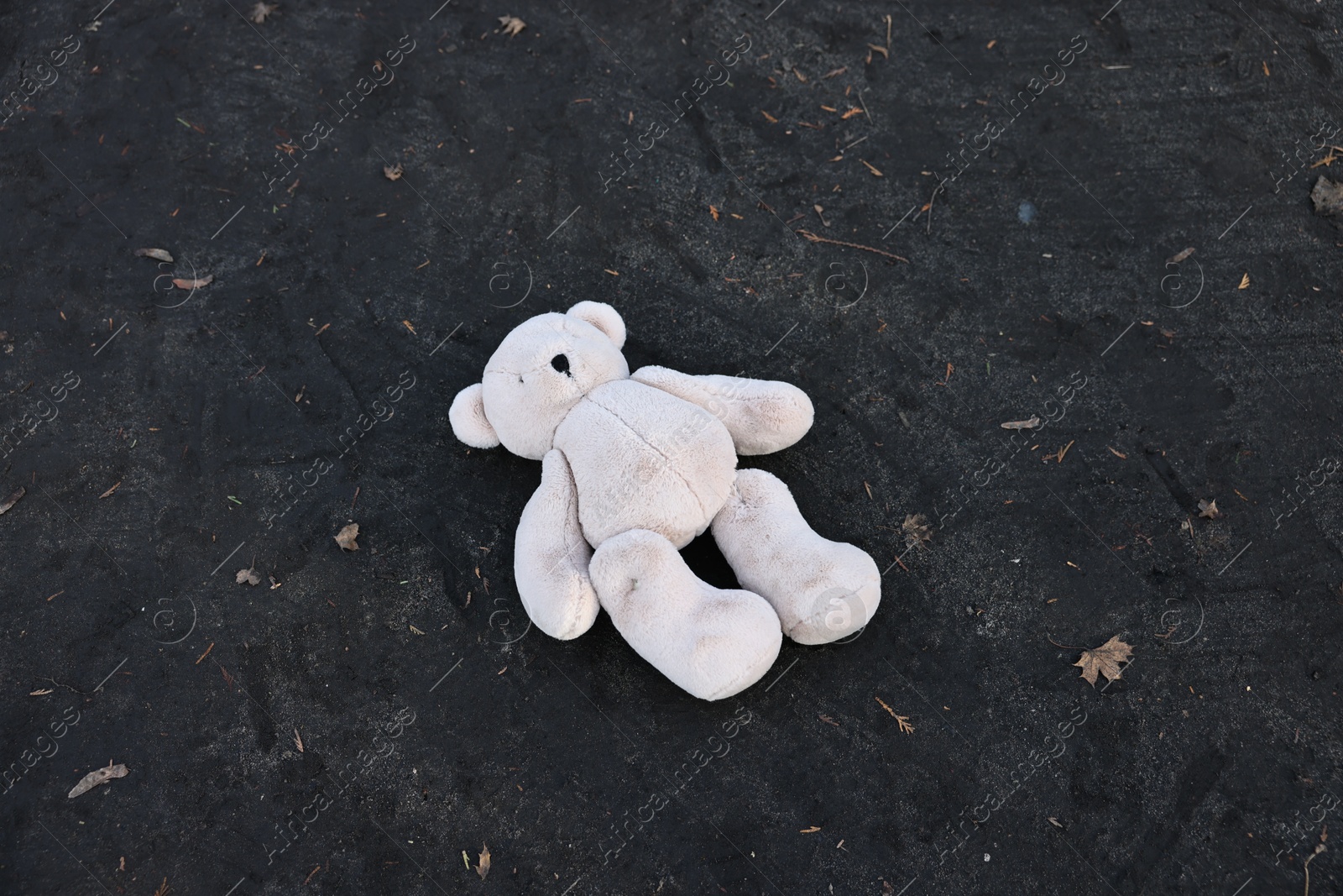 Photo of Lost white teddy bear on ground, above view