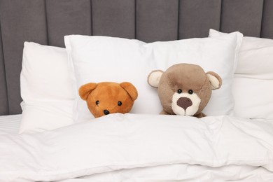 Photo of Two cute plush teddy bears in bed