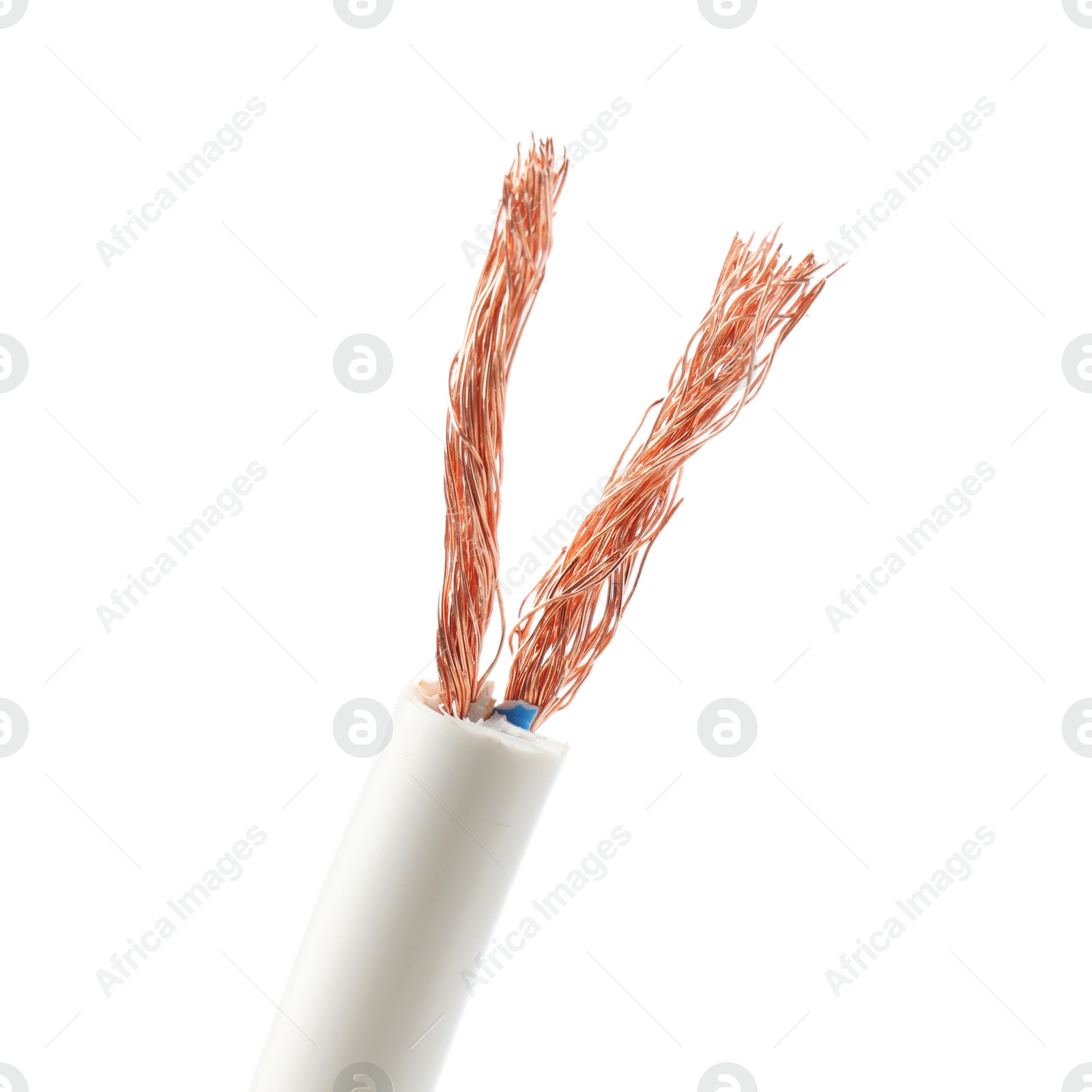 Photo of Stripped electrical wire with copper strands on white background