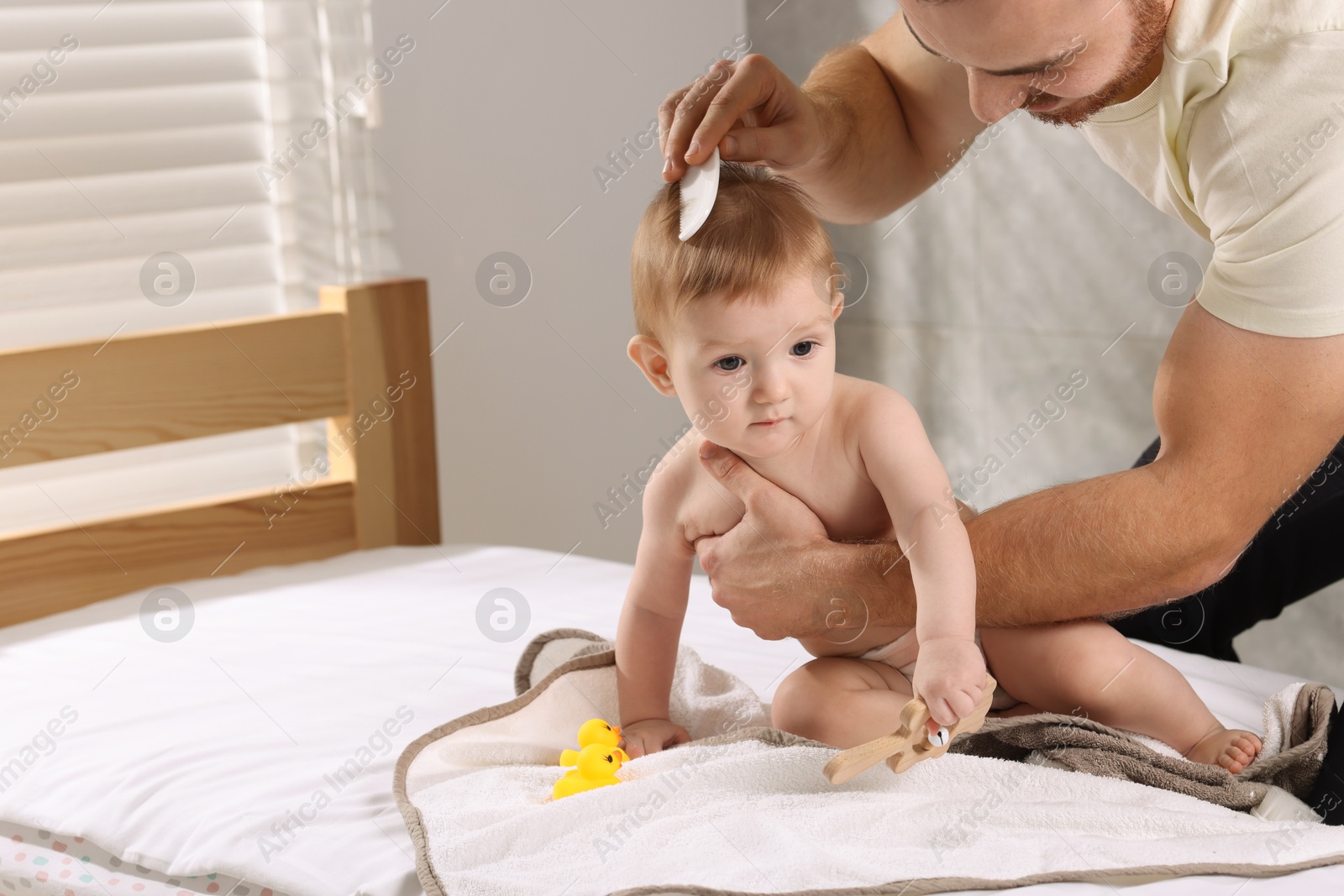 Photo of Man combing hair of his little baby indoors, space for text