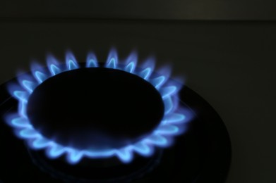 Photo of Gas burner of modern stove with burning blue flame at night