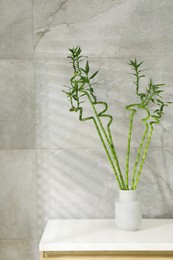 Photo of Beautiful decorative green bamboo plant in vase on white table near grey tiled wall