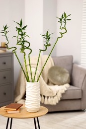 Photo of Beautiful decorative green bamboo plant in vase and books on wooden table indoors