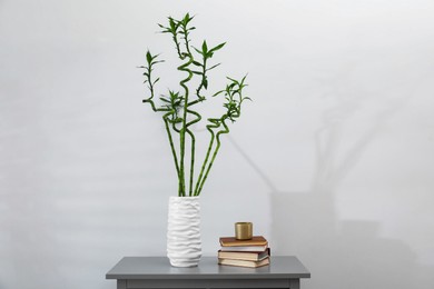 Photo of Beautiful decorative green bamboo plant in vase and books on grey table near light wall