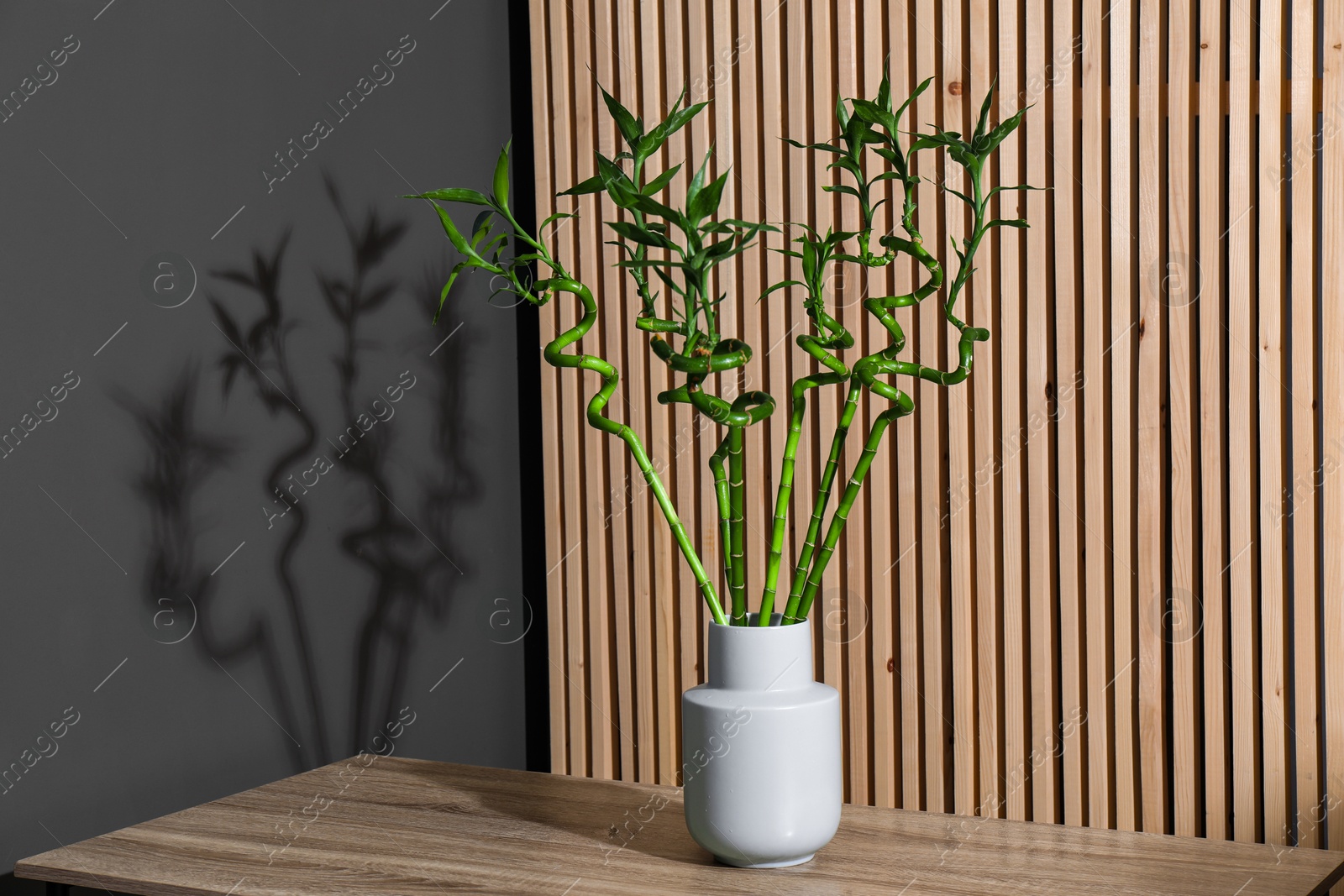 Photo of Decorative bamboo plant in vase on table