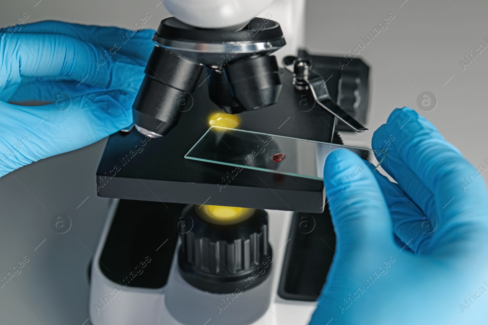 Photo of Scientist examining sample on slide under microscope, closeup