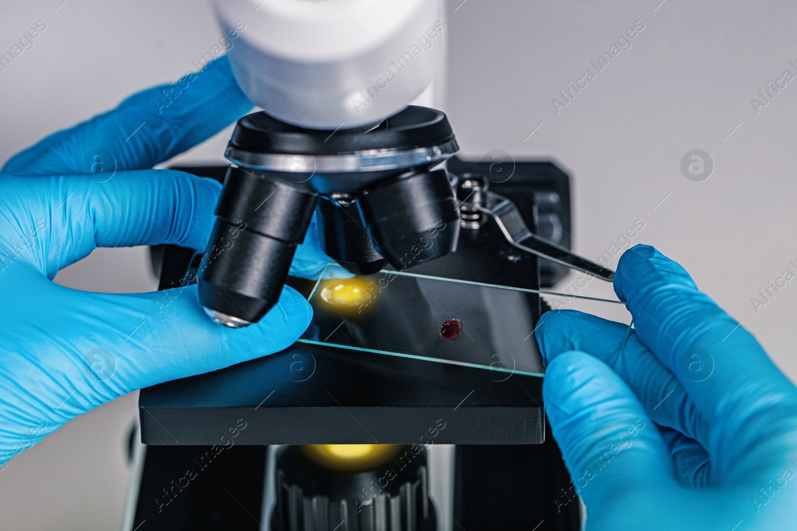 Photo of Scientist examining sample on slide under microscope, closeup