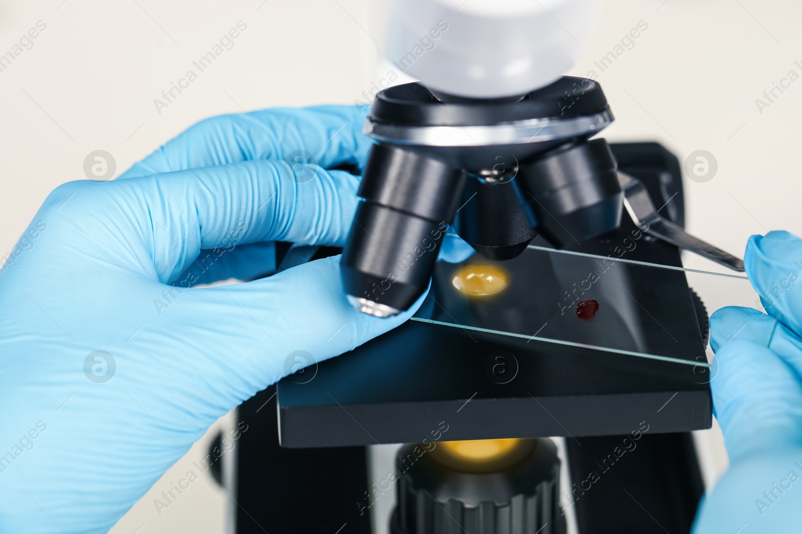 Photo of Scientist examining sample on slide under microscope, closeup