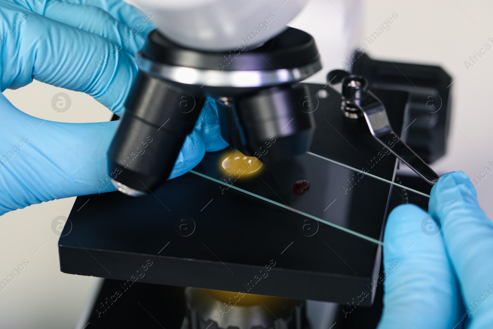 Photo of Scientist examining sample on slide under microscope, closeup