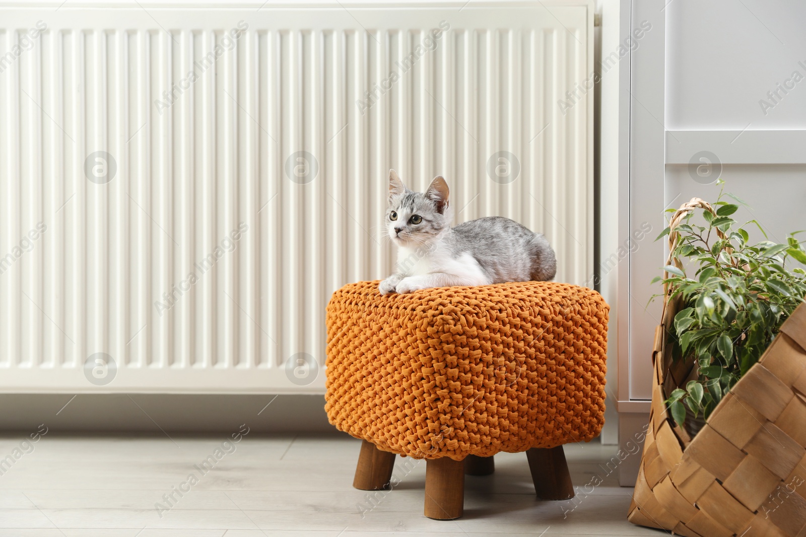 Photo of Cute little kitten on pouf near radiator at home, space for text