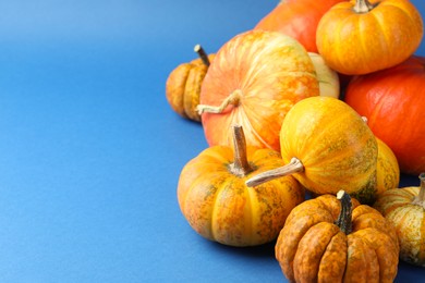 Photo of Group of fresh pumpkins on blue background, closeup. Space for text