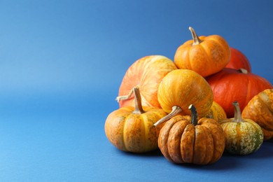 Photo of Group of fresh pumpkins on blue background, closeup. Space for text