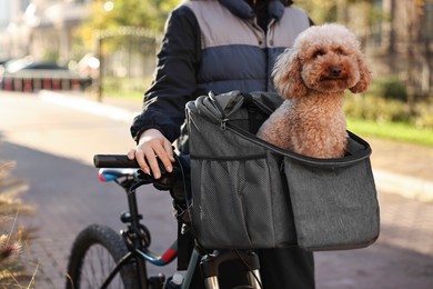 Photo of Woman with bicycle and cute Toy Poodle dog in pet carrier outdoors on sunny day, closeup