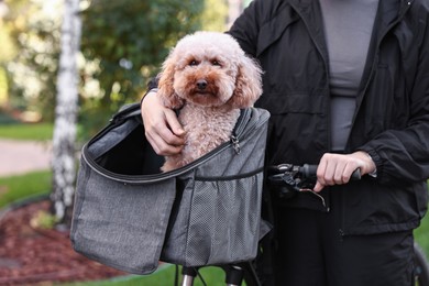 Photo of Woman with bicycle and cute Toy Poodle dog in pet carrier outdoors, closeup